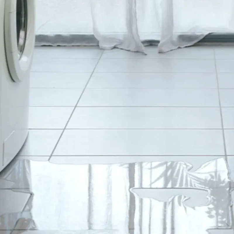 Appliance Leak Cleanup in Preston, GA