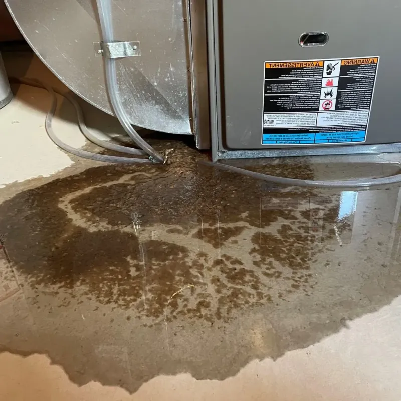 Pipe Burst and Leak Restoration in Preston, GA