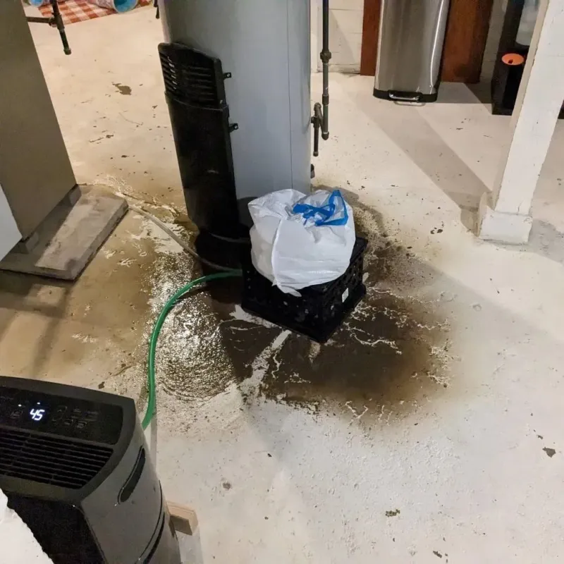 Sewage Backup Cleanup Service in Preston, GA